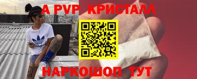хмурый Тула