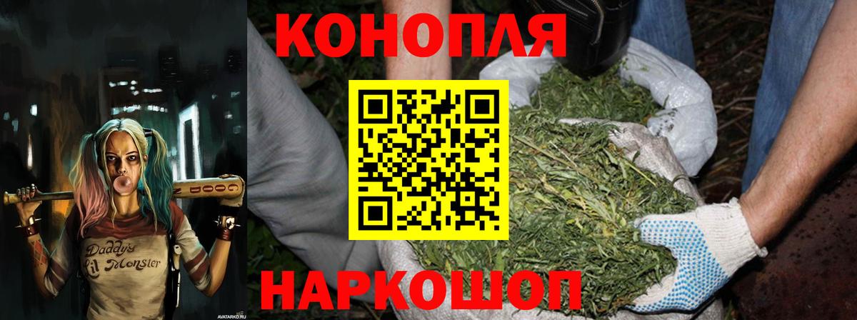 Канабис планчик  Вход с VPN  Шишки марихуана план  Нижнеудинск  Бошки Шишки OG Kush  Каннабис SATIVA & INDICA 